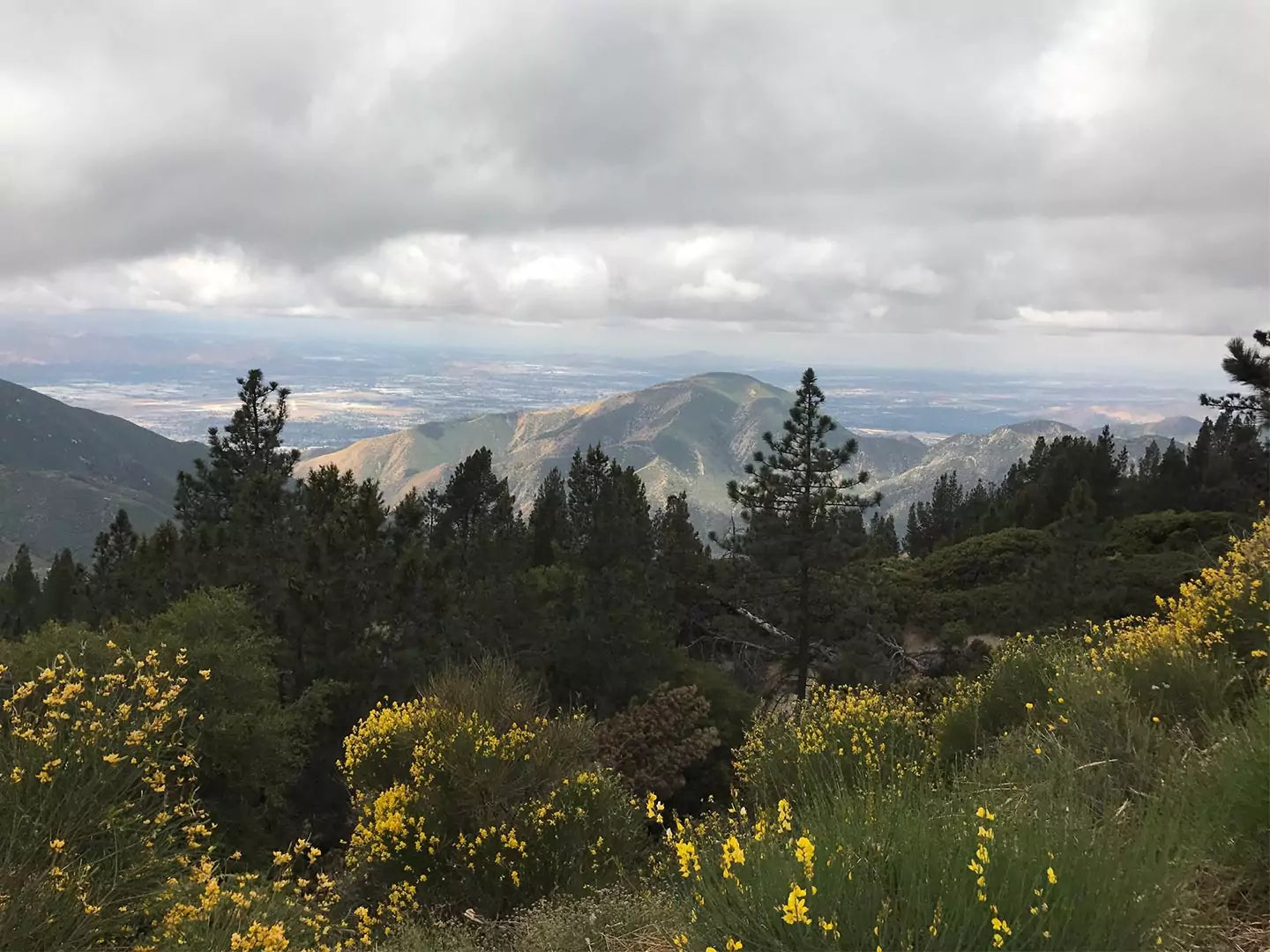 A picture overlooking the San Bernardino mountains
