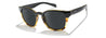Zeal- Windsor Polarized Sunglasses - Matte Black/ Tortoise two tone Frame, Black Lenses
