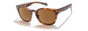 Zeal- Windsor Polarized Sunglasses - Matte Tortoise frame, Copper lenses